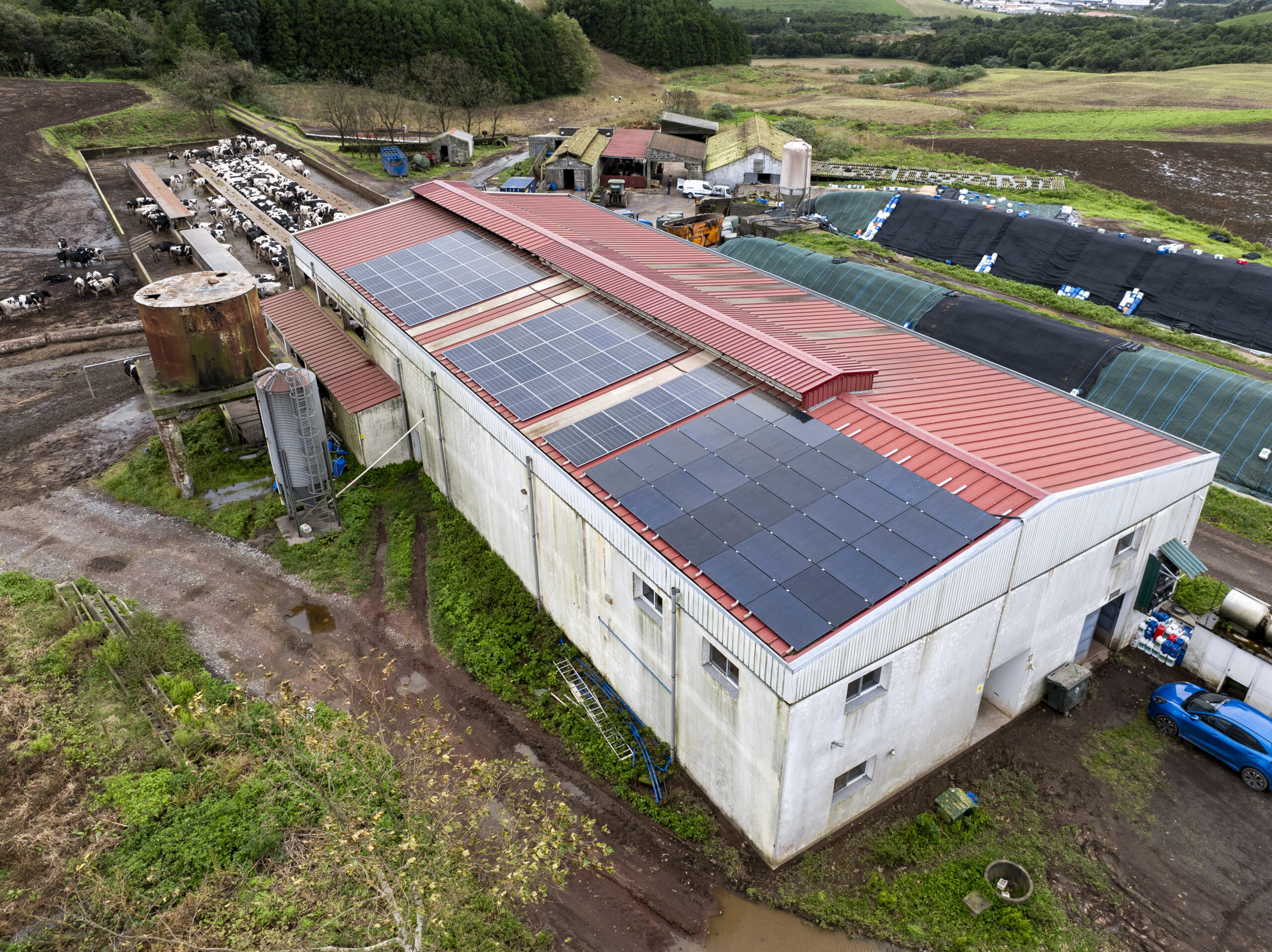 Exploração Estrela Rego