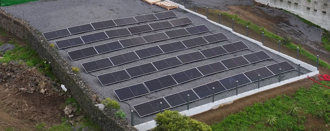 Exploração SuinoAçor